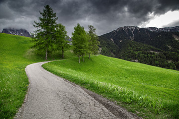 Beautiful green meadow at summer. Nature landscape