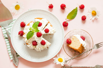 Raspberry Cake with whipped cream on pink background