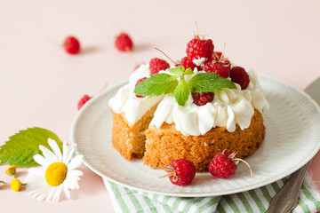 Raspberry Cake with whipped cream on pink background
