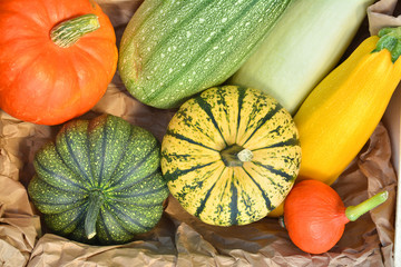 Pumpkins and squashes harvest