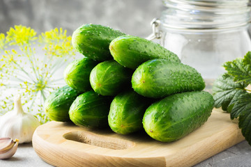 Ingredients for r preserving. Selective focus, space for text, close up.