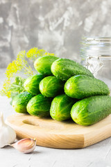Raw cucumbers, garlic, dill on wooden board, ready for preservation. Selective focus, space for text, close up.