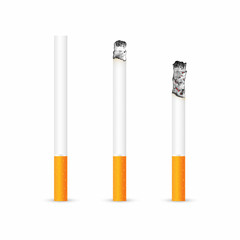 Cigarette with and without ash isolated on white background. Realistic smoldering cigarette in different stages of burn
