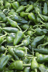 Green Padron Peppers