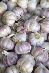 White Garlic Background on Food Market Stall