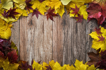 Naklejka na ściany i meble Autumn leaves on weathered wooden background. Copy space.