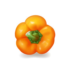 Bulgarian bell pepper isolated