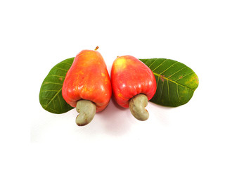 Ripe Cashew fruit on white background, Cashew nut concept
