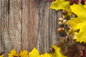 Naklejka na ściany i meble Beautiful autumn leaves on wooden background. Copy space.