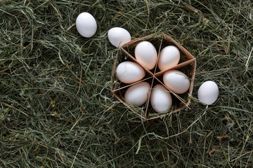 Fresh chicken white eggs in carton on rustic wood background