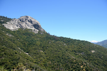 Sequoia National Park mountain landscape, California, USA