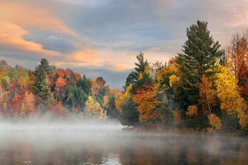 Foto auf Acrylglas See Herbstlaub © rabbit75_fot