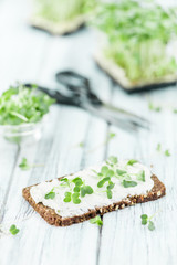 Cream Cheese topped with fresh Cress (selective focus)
