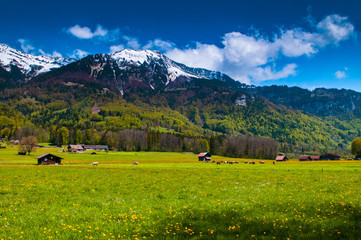 Obraz premium Farm in Ballenberg, Brienz, Swistzerland.