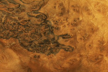 wood texture material natural