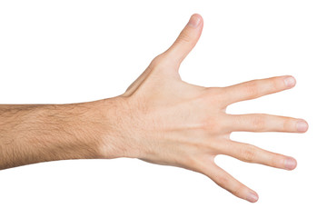 Male hand isolated on white background