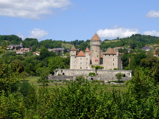 Ch&acirc;teau de MONTROTTIER-74330 Lovagny