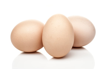 chicken eggs standing isolated on white background