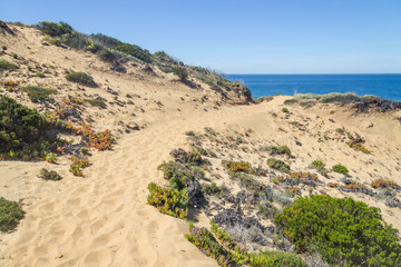 Trail over dunes in the Beach in Almograve