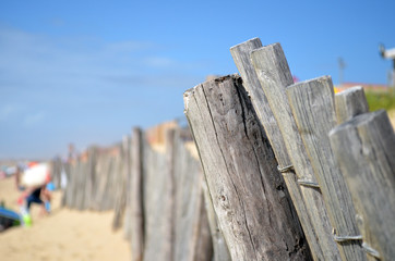 Ganivelle à la plage
