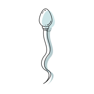 watercolor painted silhouette of front view spermatozoon