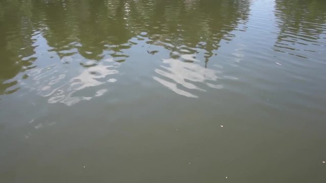 vista del fiume