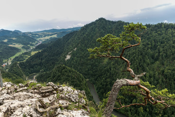 Sokolica Peak in Pieniny, Poland, Poland landscape, Pieniny mountains
