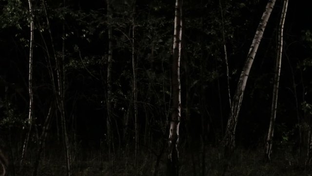 Scared woman running through forest at night