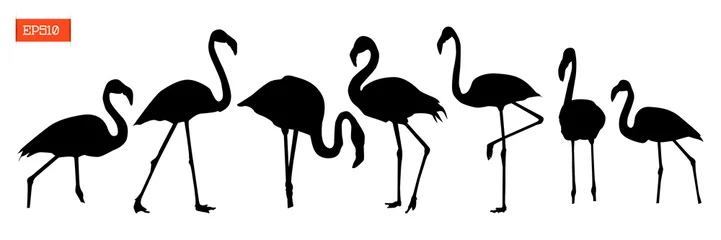 Muurstickers Set of silhouettes of flamingo birds © Coffeechocolates