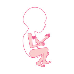pink silhouette of side view fetal growth a semestrer with active heart