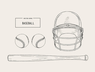 A collection of illustrated baseball elements vector.