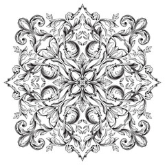 Vector baroque of vintage elements for design. 