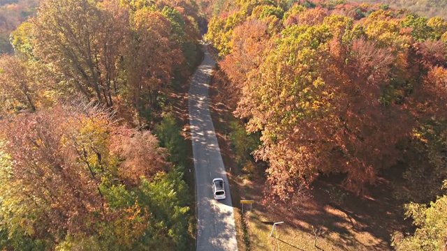 Flying behind and above white family car driving through forest in fall 4K