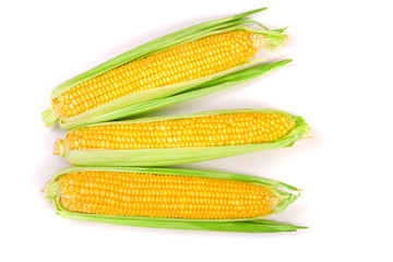 ear of corn isolated on a white background. Top view
