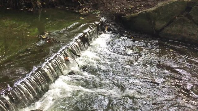 Small weir in forest stream /spring. Ideal for your ecology / environment projects. 1080p 60fps
