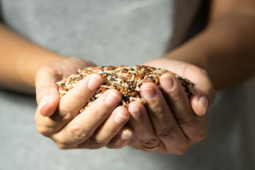 Close up cereal rice grains falling from woman's hand.