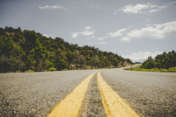 Curvy road with yellow markers and small trees in california
