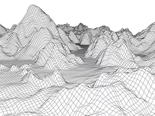 Rolgordijnen Abstract landscape mesh background. 3D terrain grid isolated. © Anatoly Stojko