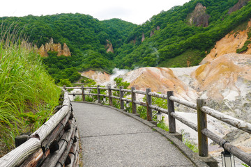 Fototapeta na wymiar Jigokudani hell Valley in Noboribetsu , Hokkaido most famous hot spring onsen resort