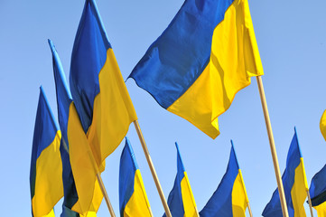 flags of Ukraine