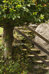 Escalier à flanc de colline