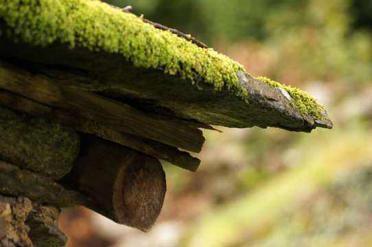 Keildach Bilder Durchsuchen 305 Archivfotos, und