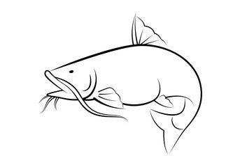 graphic catfish on white background, vector