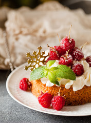 Raspberry Cake with whipped cream on pink background