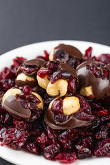 Hazelnut and cranberries in chocolate