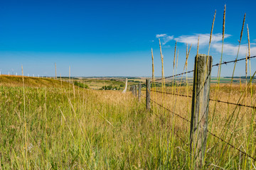 Obraz premium Fence and Grass Along Highway