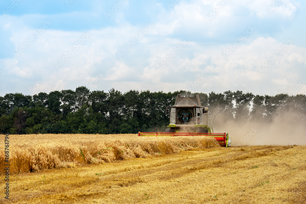 Aufkleber combine harvester in action on wheat field.