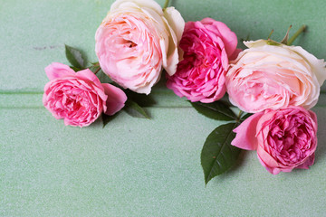 Fototapeta premium Frame from pink and white roses on green wooden background.
