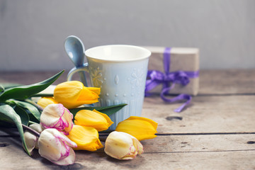 Bright yellow and white spring tulips and blue cup  on  wooden background.