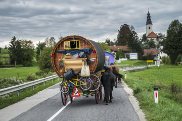 Horse drawn wagon on the road in central Slovenia - obrazy, fototapety, plakaty